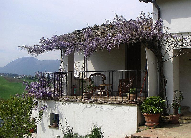 Spring - The Balcony from the Garden